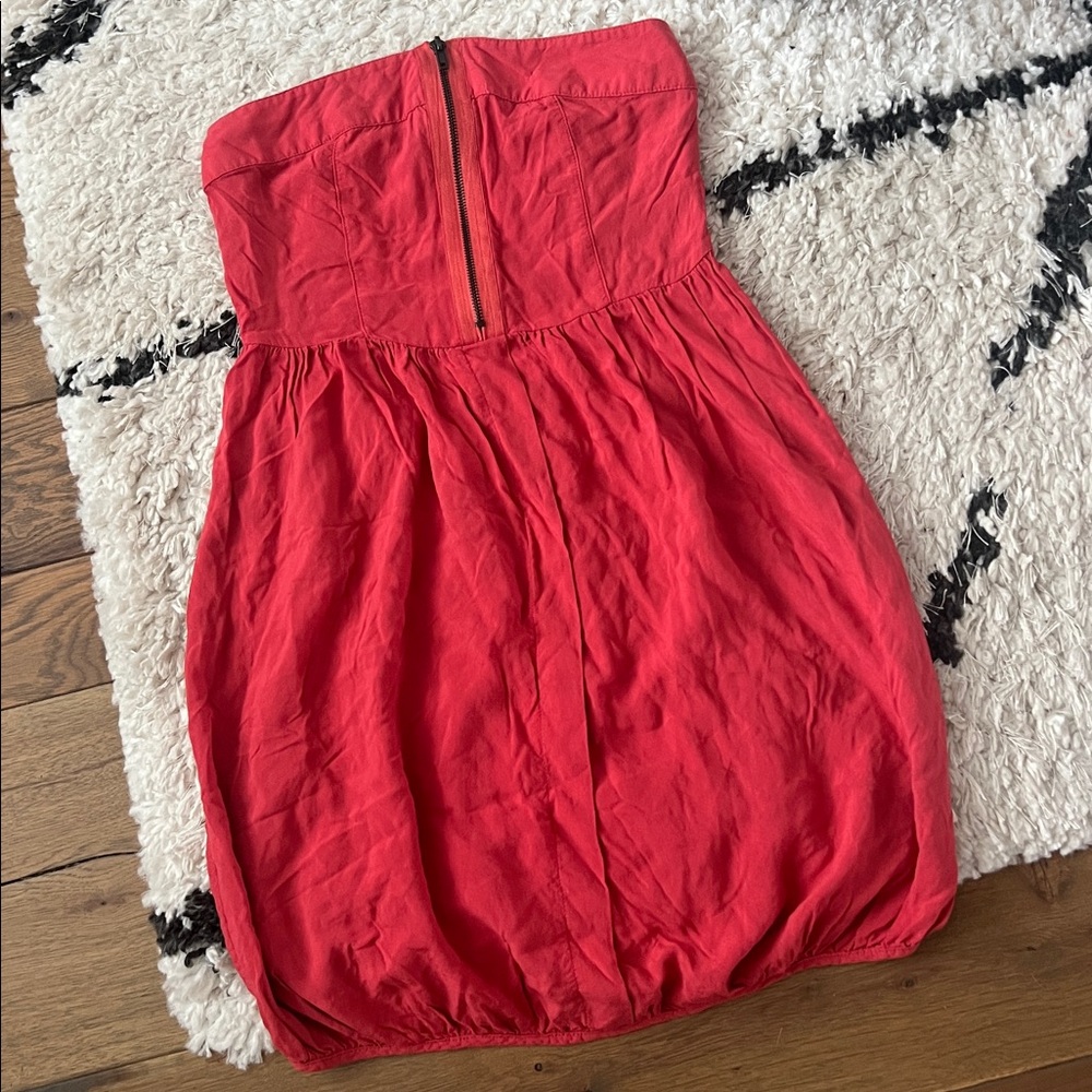 Zara Strapless Dress